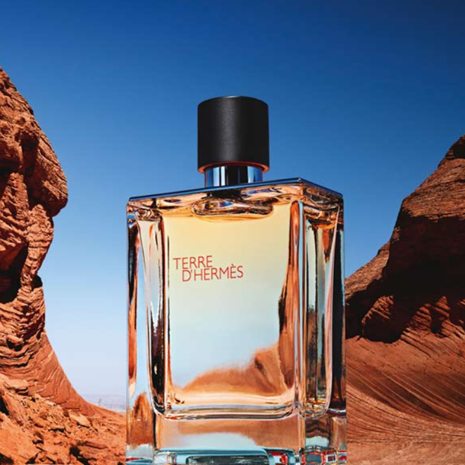 HERMÈS TERRE D'HERMÈS 100ML